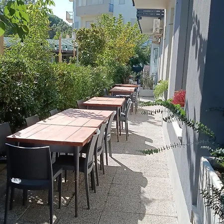 Ninfea تّشيرفييا